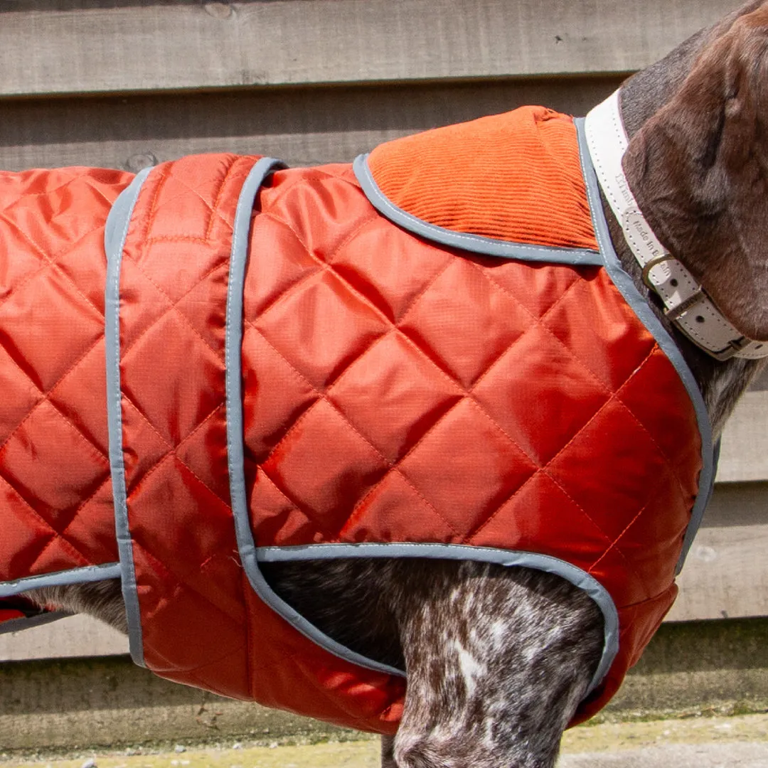 Ancol Heritage Quilt Dog Coat