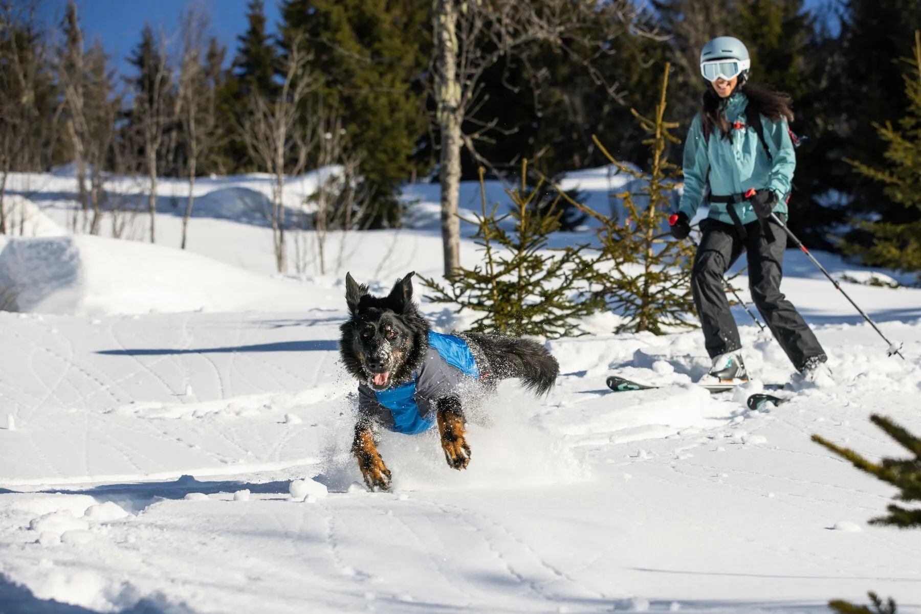 Powder Hound Jacket - Blue Large (Customer Return)