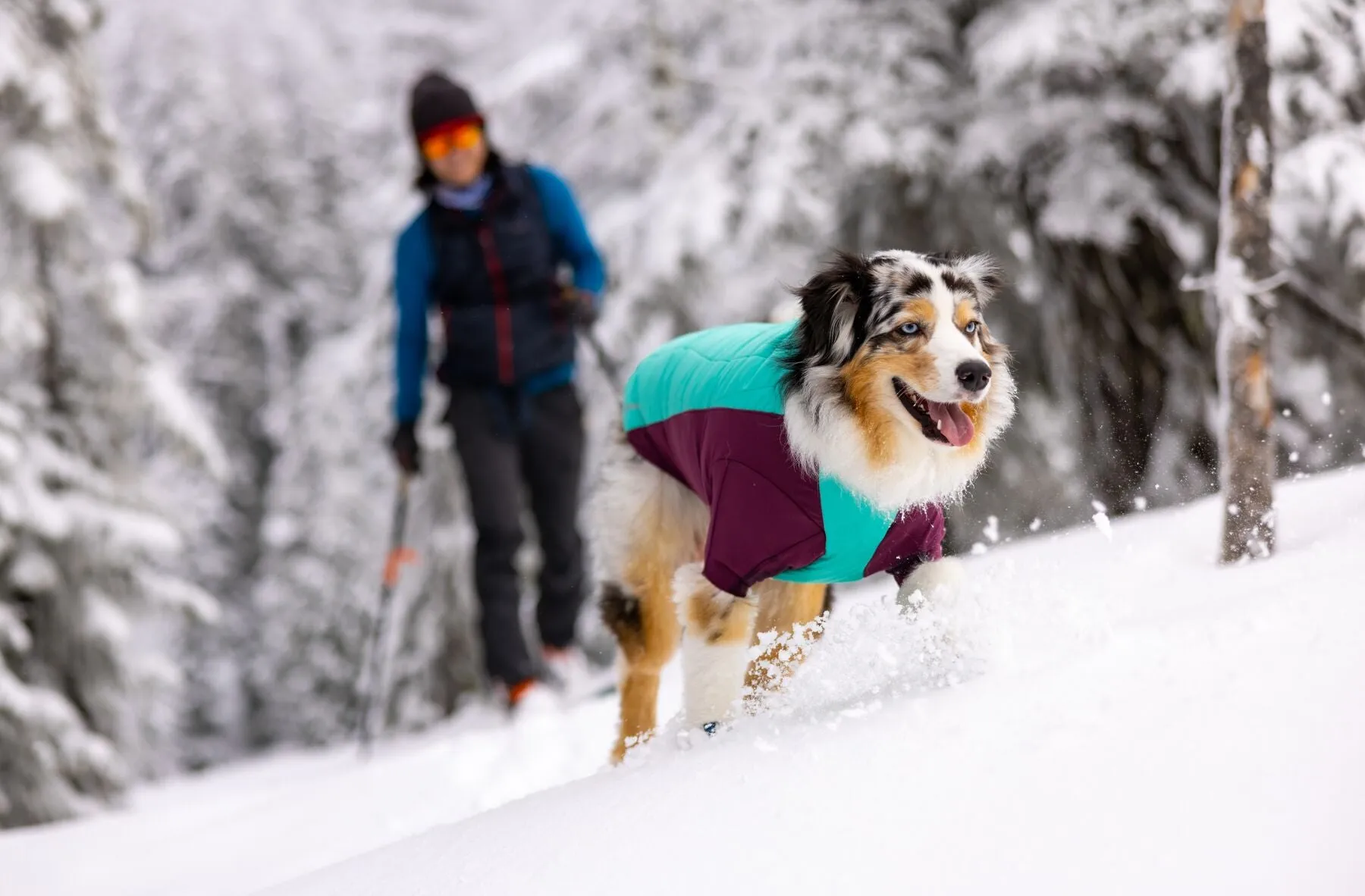 Ruffwear Powder Hound Dog Winter Jacket