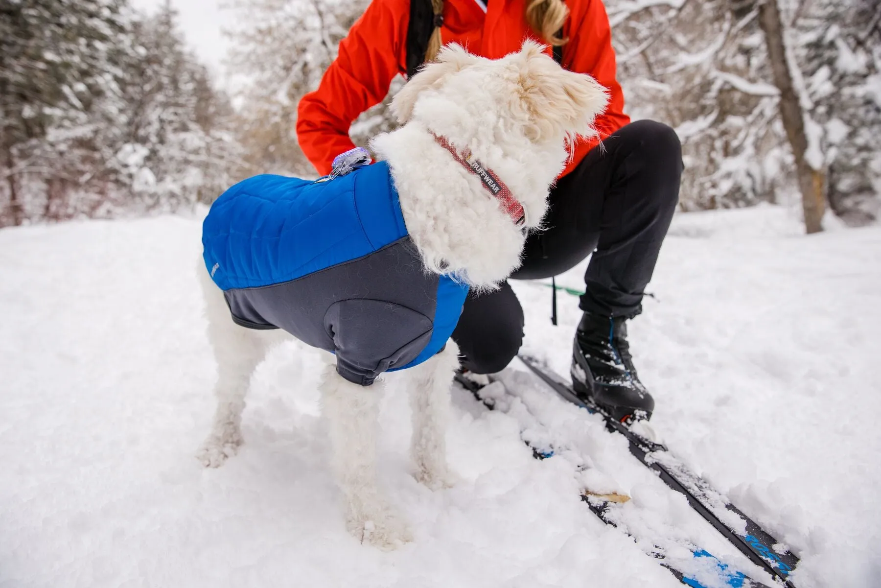 Ruffwear Powder Hound Dog Winter Jacket