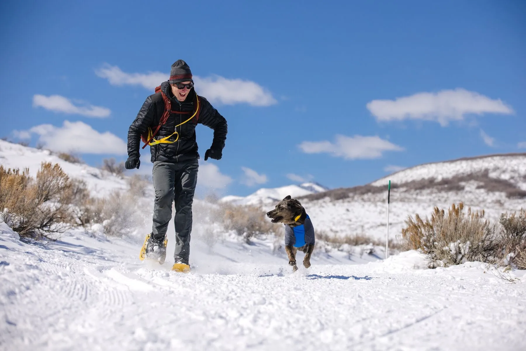 Ruffwear Powder Hound Dog Winter Jacket