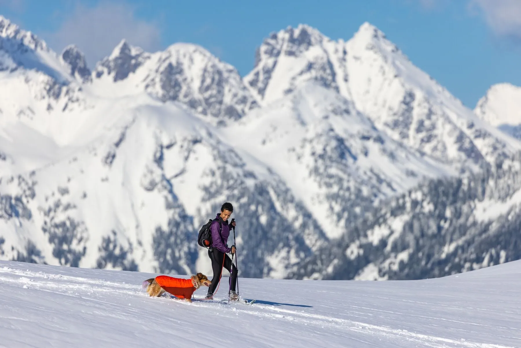 Ruffwear Powder Hound Dog Winter Jacket