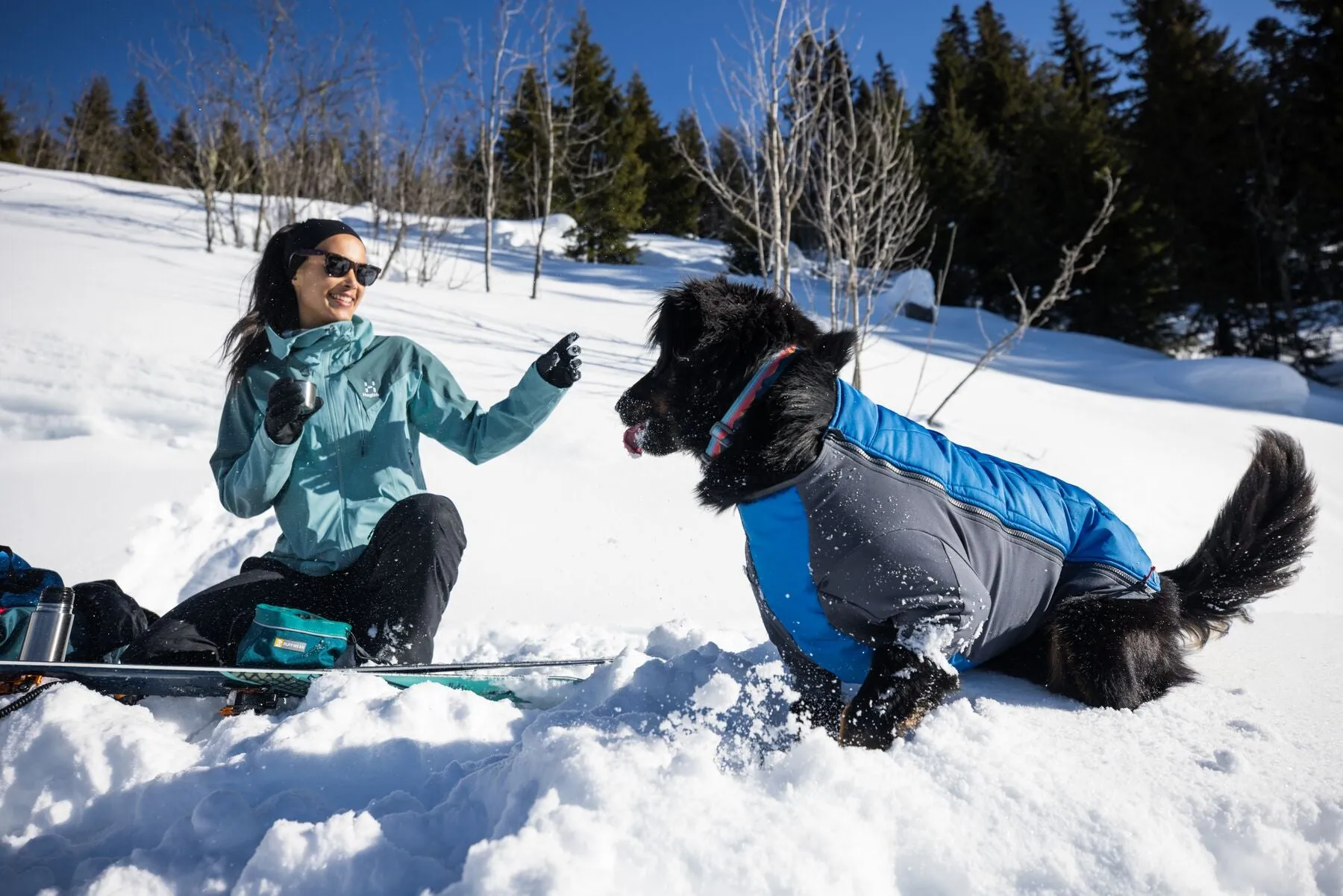 Ruffwear Powder Hound Dog Winter Jacket