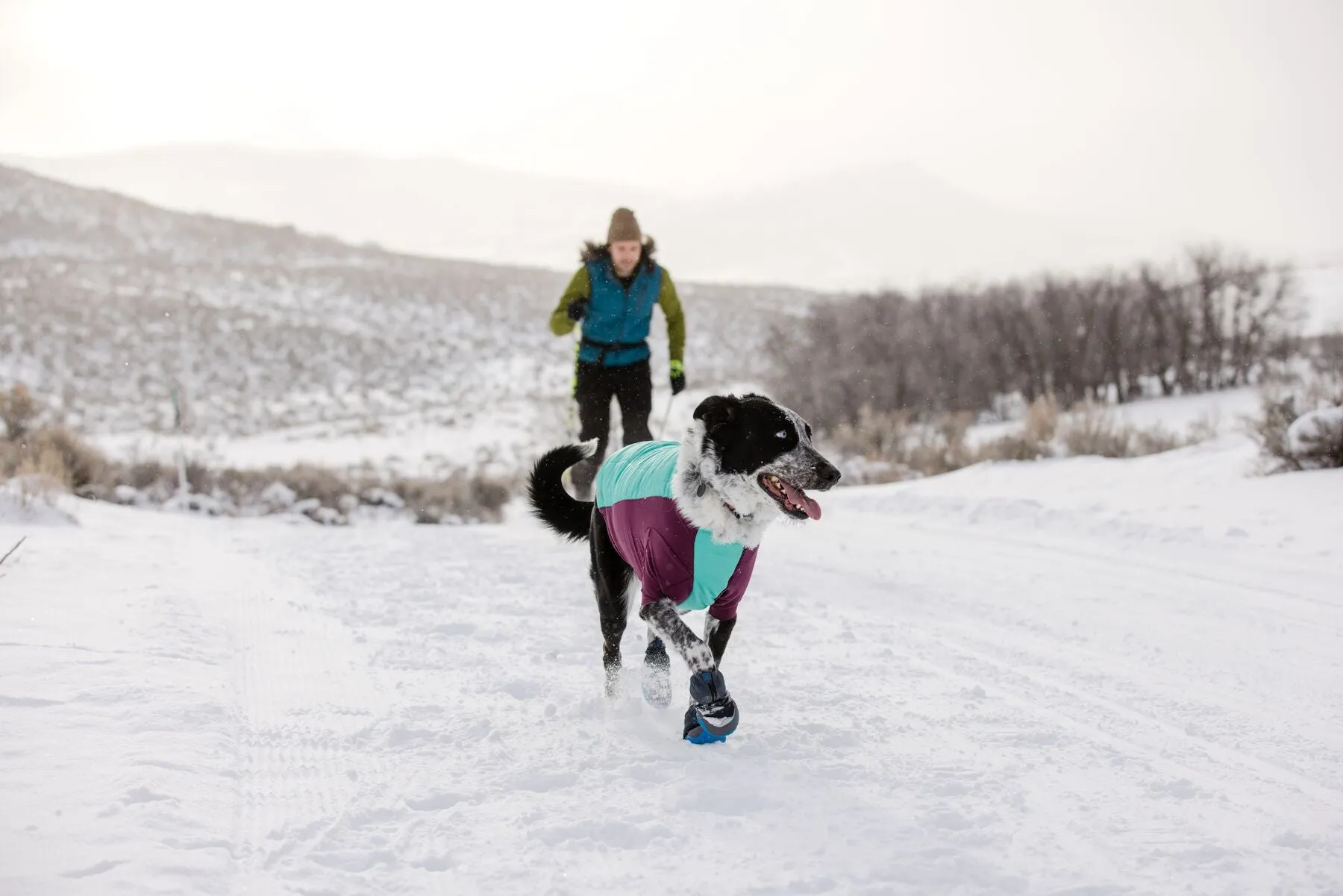 Ruffwear Powder Hound Dog Winter Jacket