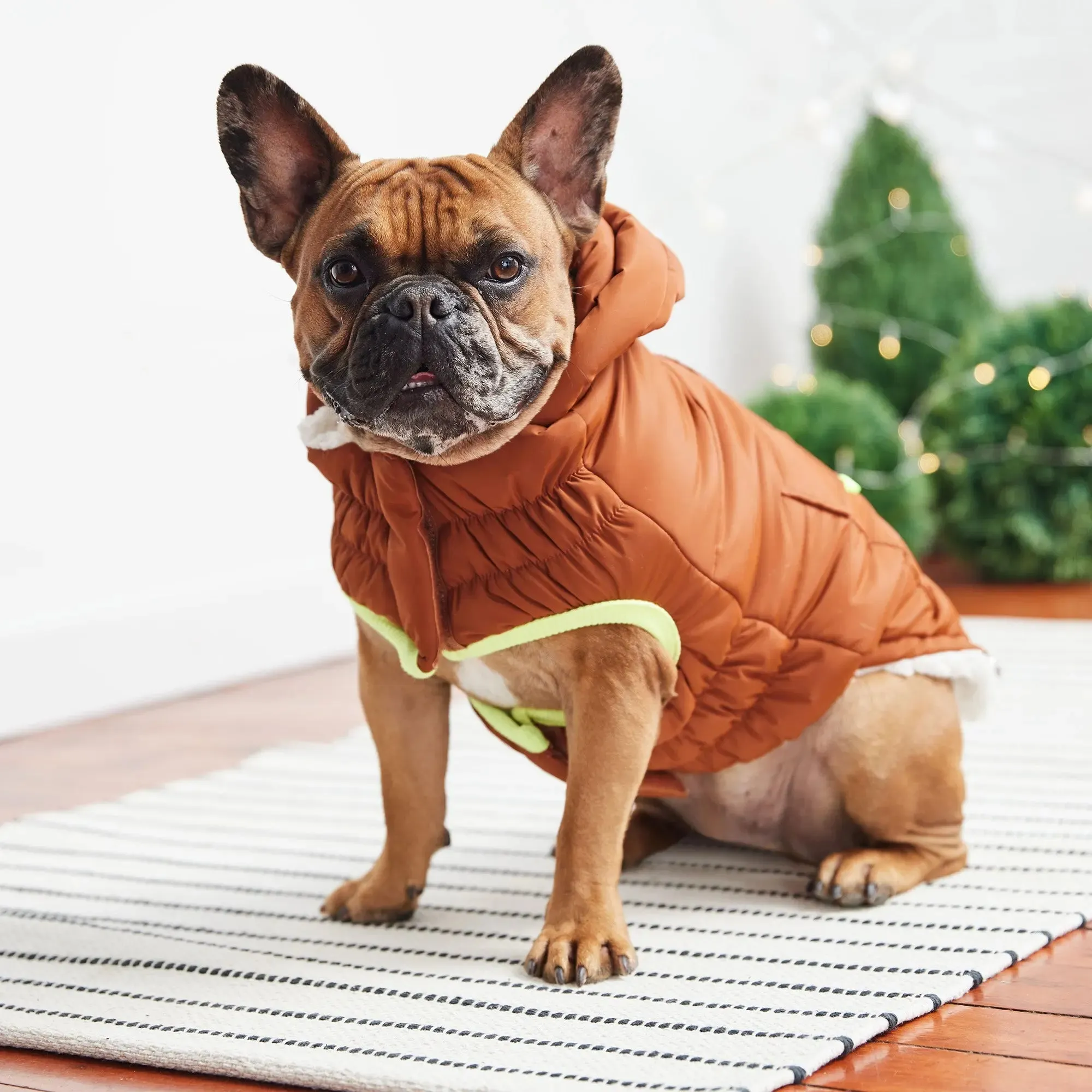 Super Puff Parka Dog Winter Jacket