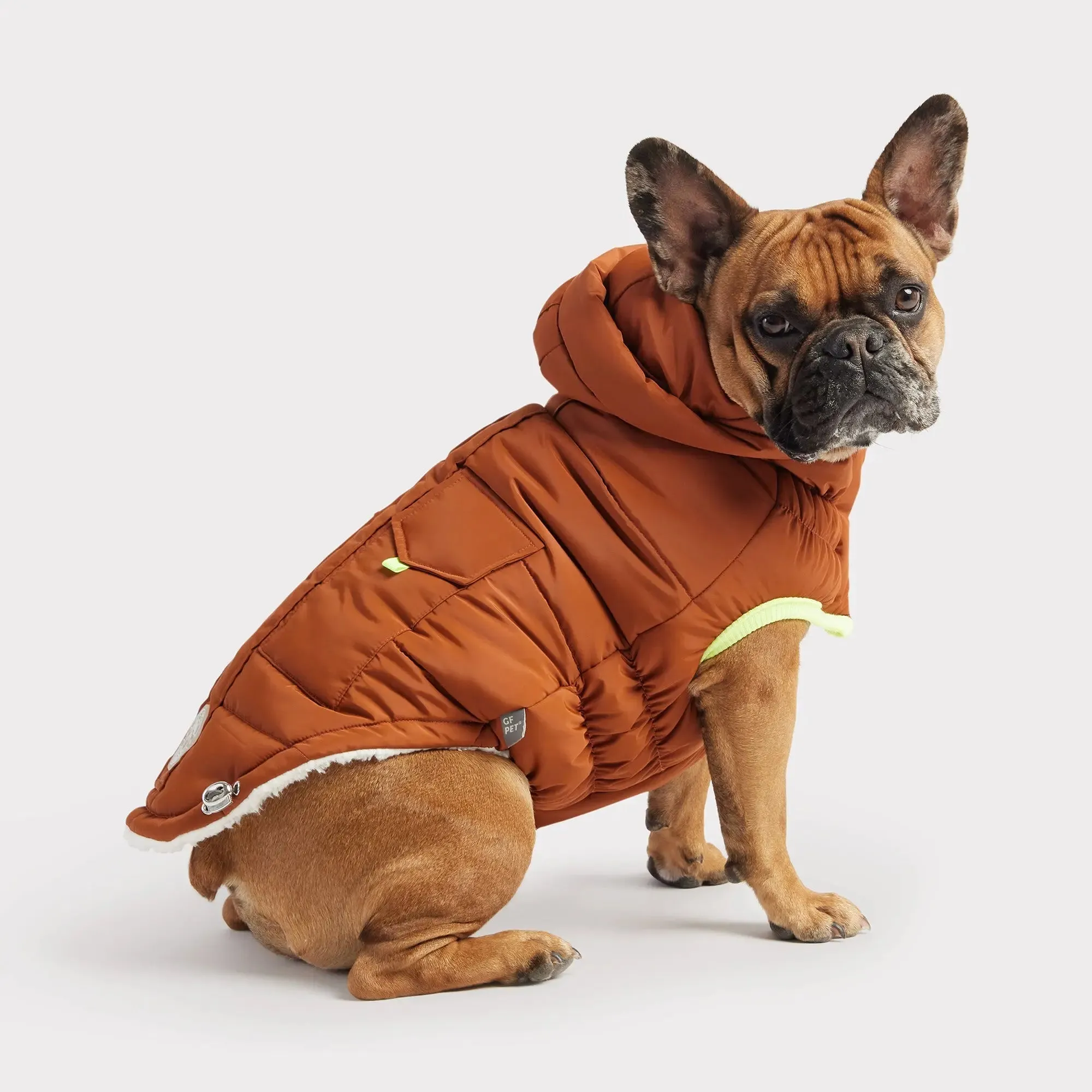 Super Puff Parka Dog Winter Jacket